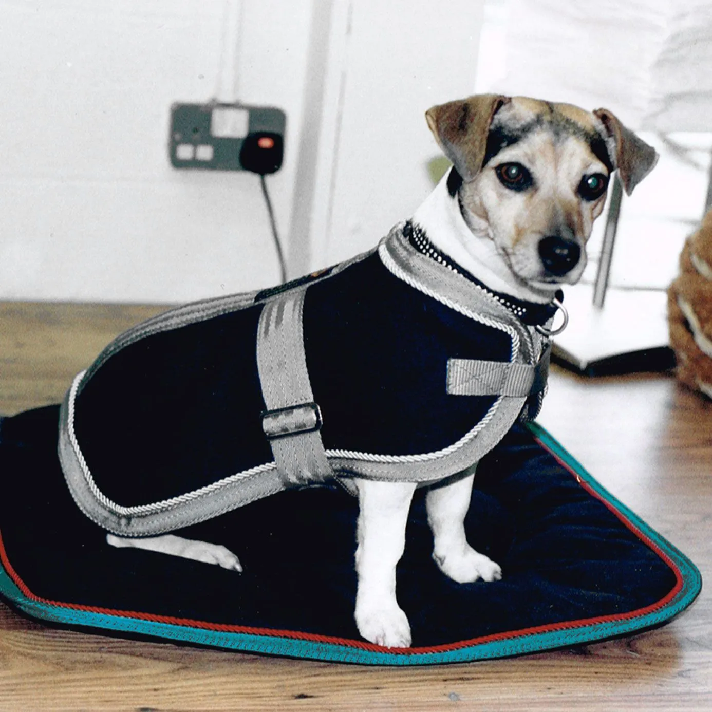 Equiport Wool Dog Coat