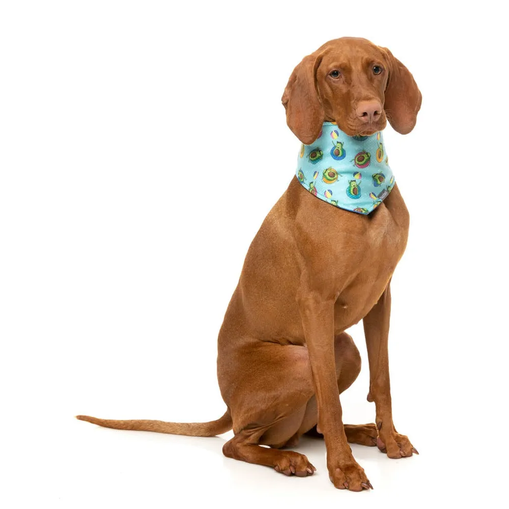 FuzzYard Cooling Bandana Avo Great Day Small to Medium***